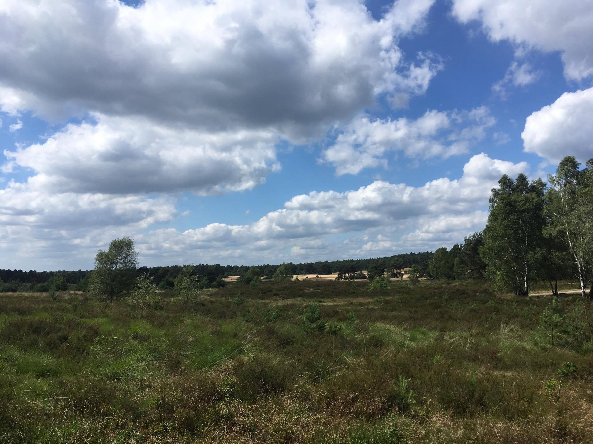 rozendaalseveld170702.jpg